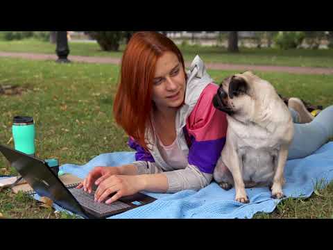 Best Dog Breeds for Families and Kids: A Look at the Top Ten Kid and Family Friendly Dog Breeds