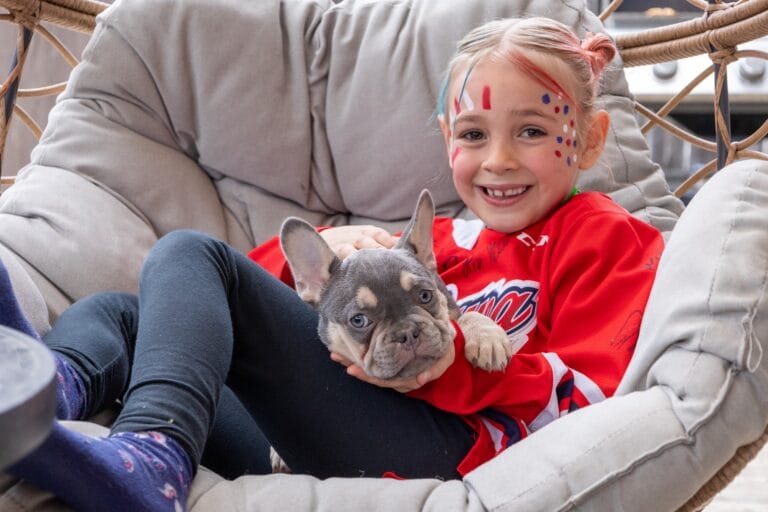 Adorable French Bulldog Puppies Arriving Soon!